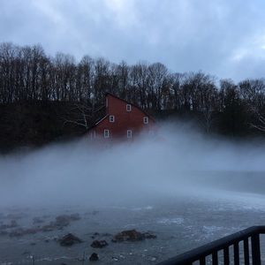 Meet your Posher, Jacqui